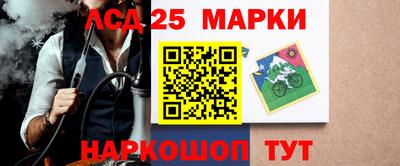 гашик Кулебаки