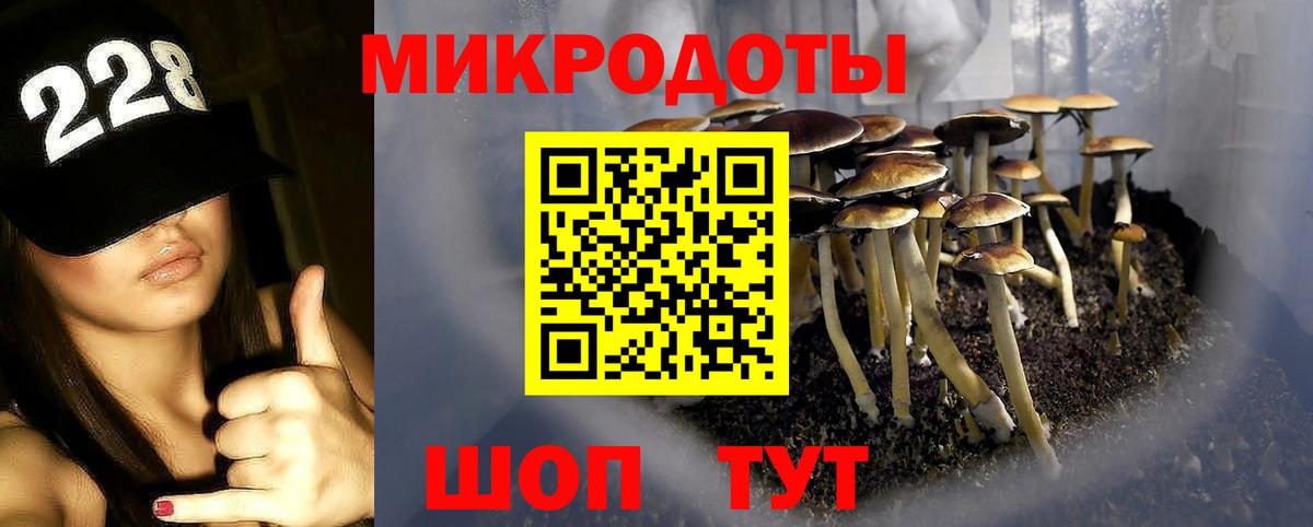 Шахты  Псилоцибиновые грибы мицелий  закладки  Вход с VPN 